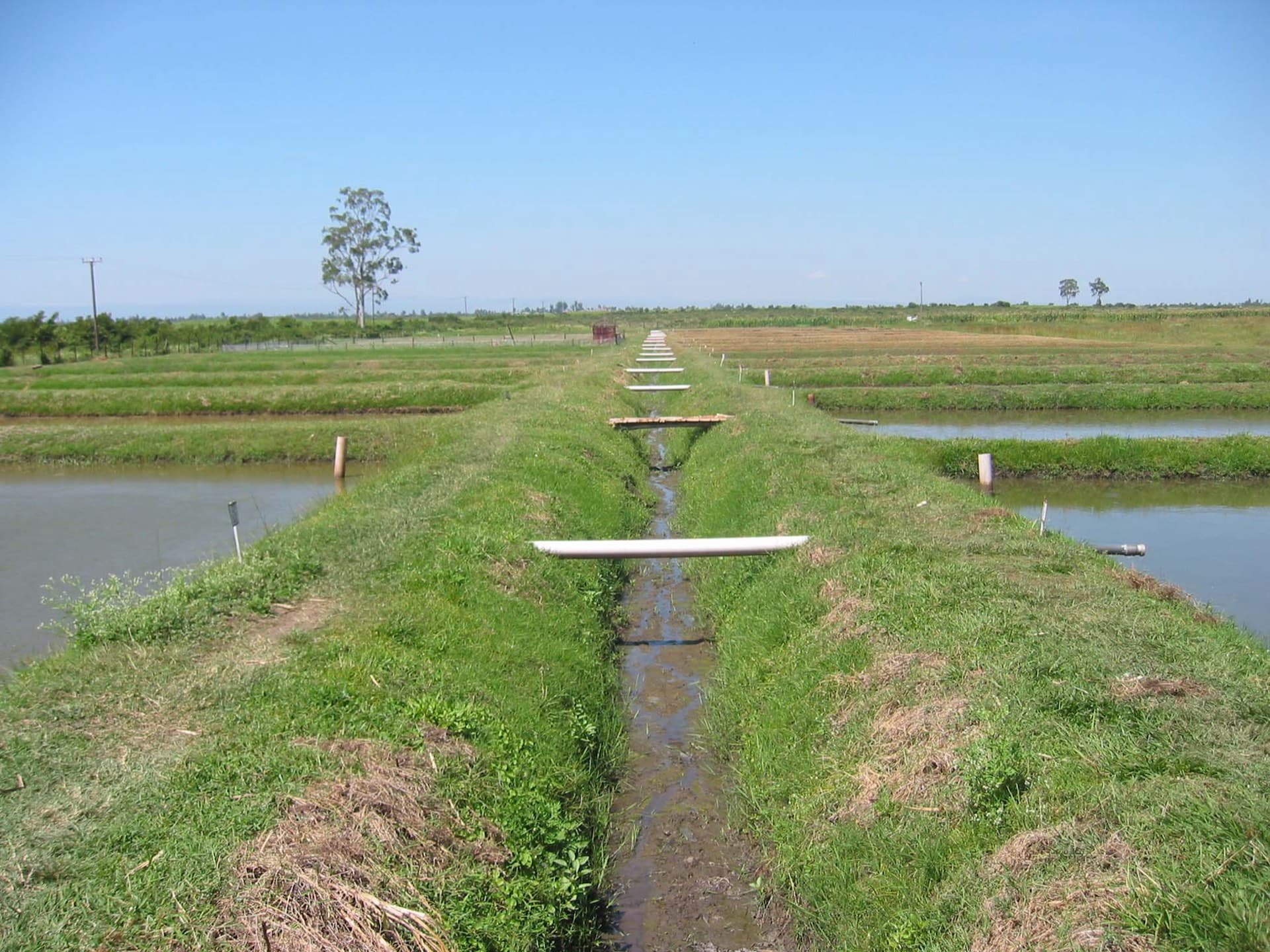 Rows of earthen fish ponds separated by grass dikes and a narrow channel under a blue sky