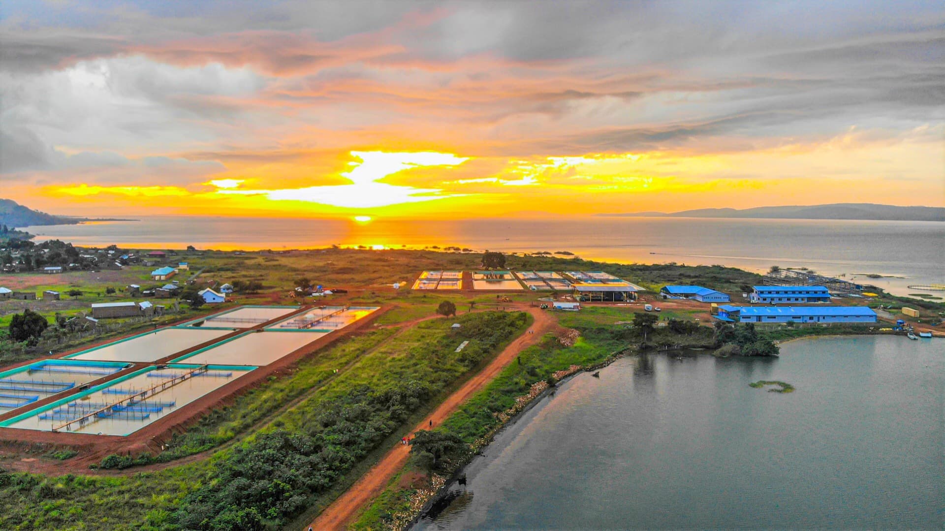 Fish ponds and farm buildings beside a lake at sunset, seen from the air